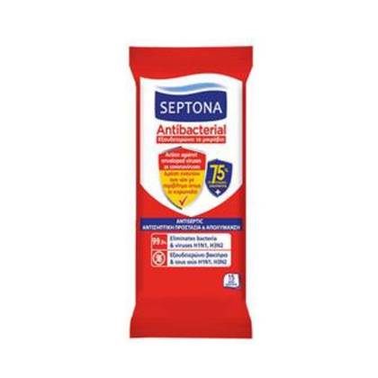 Septona Antibacterial Wet Wipes 75% Alcohol - #15