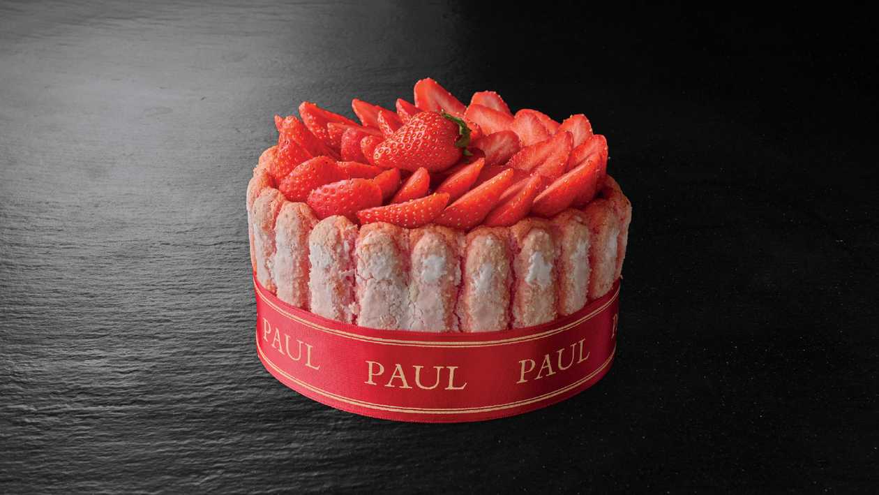 Charlotte with Fruits Cake 18 x 4.50cm