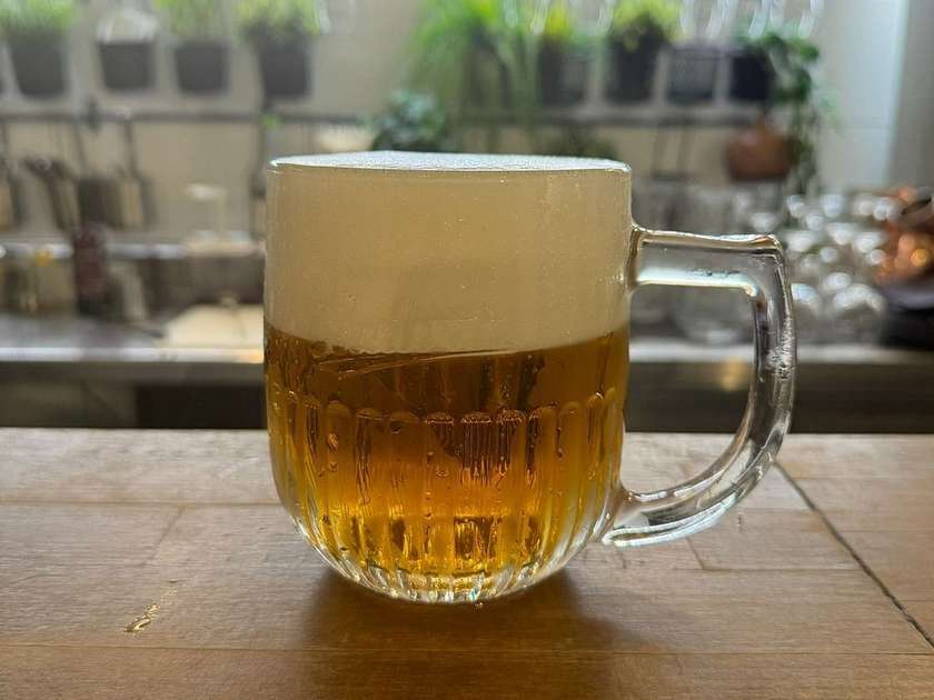 Čepovaný Budvar 33