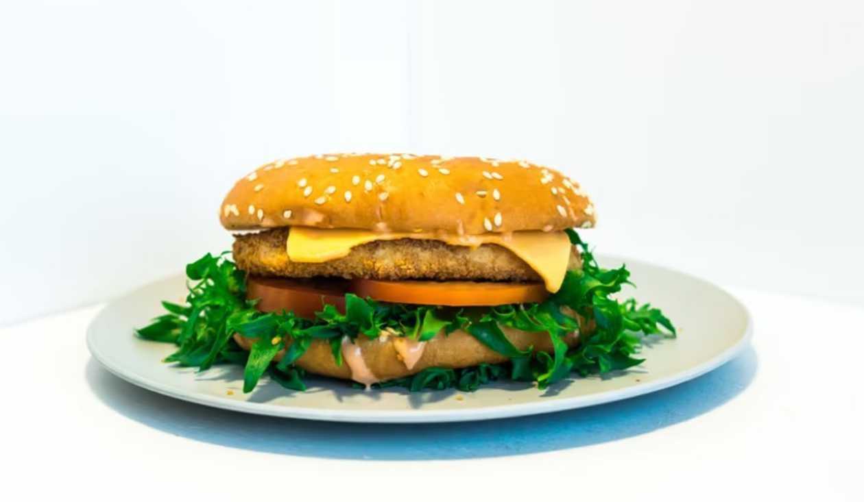 Chicken Burger