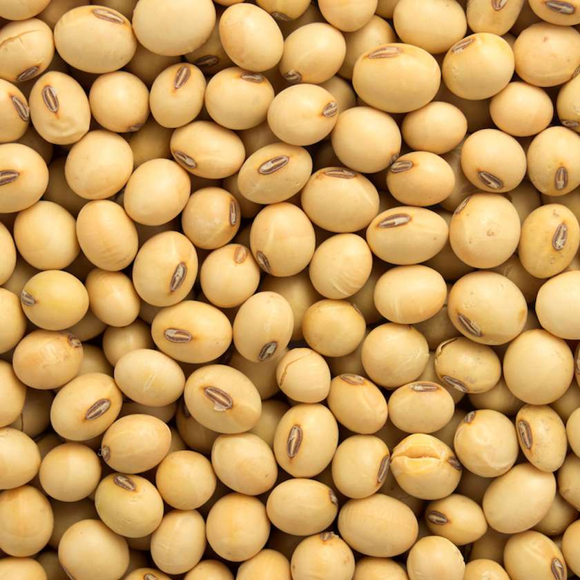 Soya Beans(Feijao de Soja)1kg
