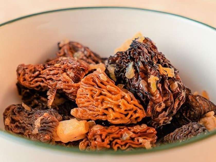Fried Morel Mushrooms