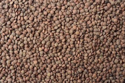 Masur Brown (Lentihas Castanhas )1kg