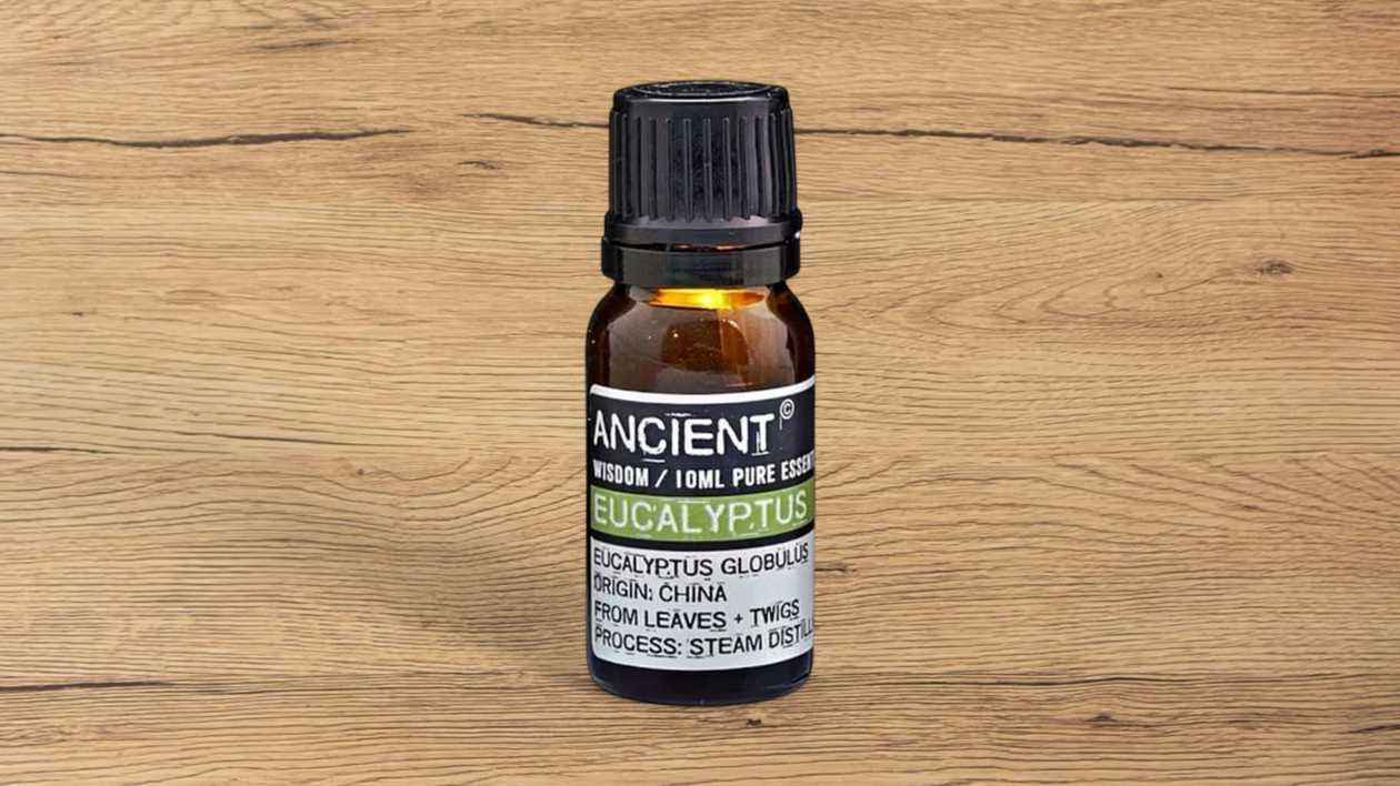 🌿Eucalyptus Essential Oil✨