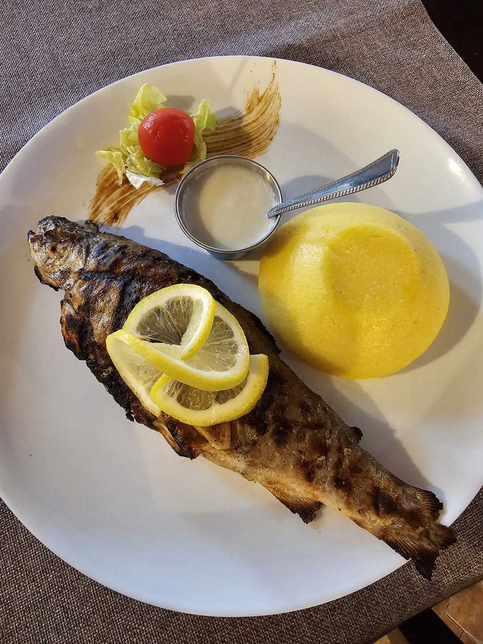 Grilled trout with polenta