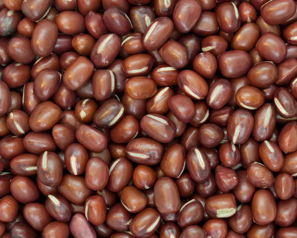 Thai Red Chori (Feijao Adzuki)500gm