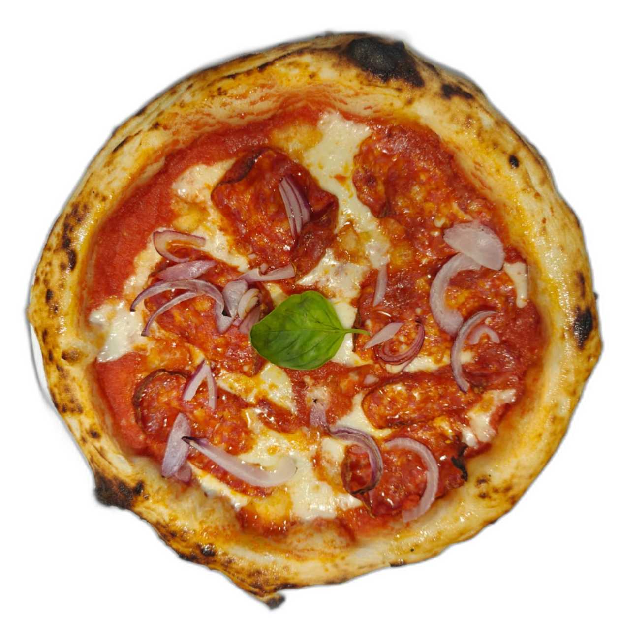 Spicy Family Madness