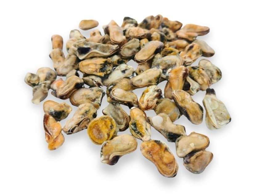 Mušle