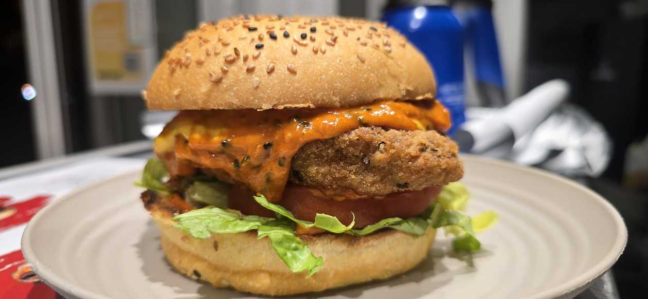 Smoked Chicken Burger + Fries