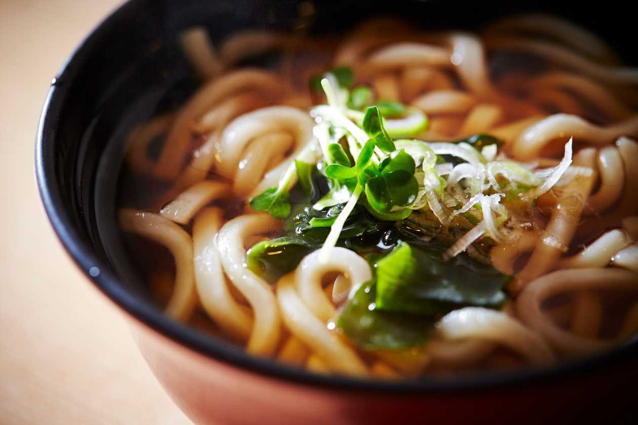 Udon noodle soup