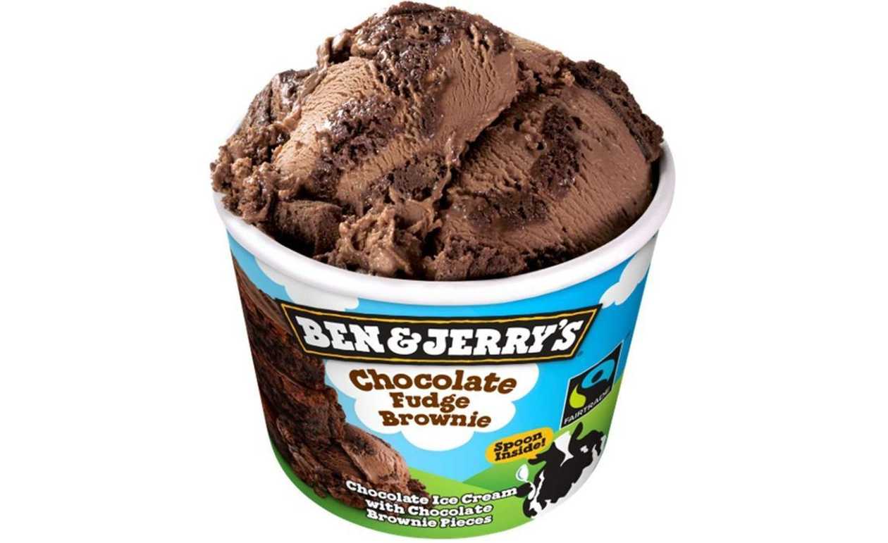 B&J Chocolate Fudge Brownie 100ml