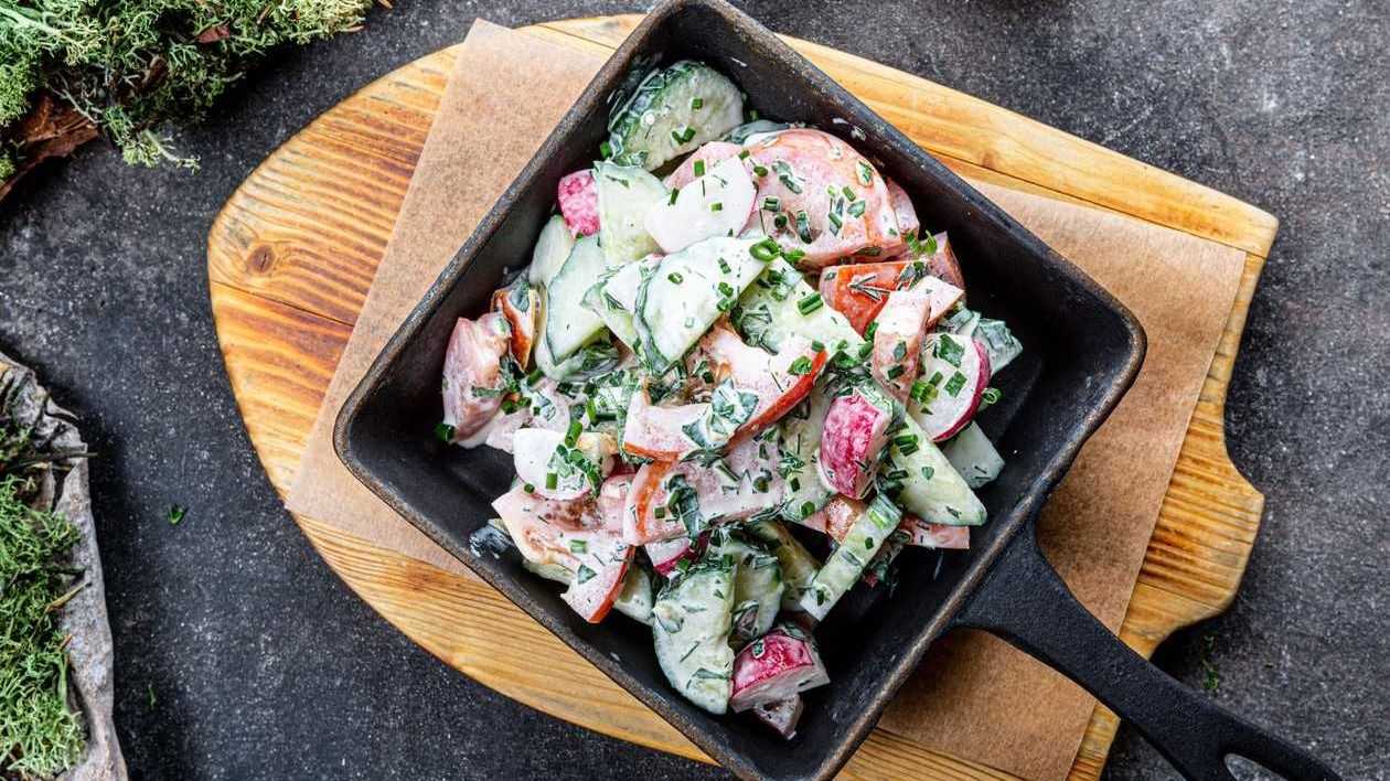 Värske tomati-kurgi-redisesalat hapukoorega