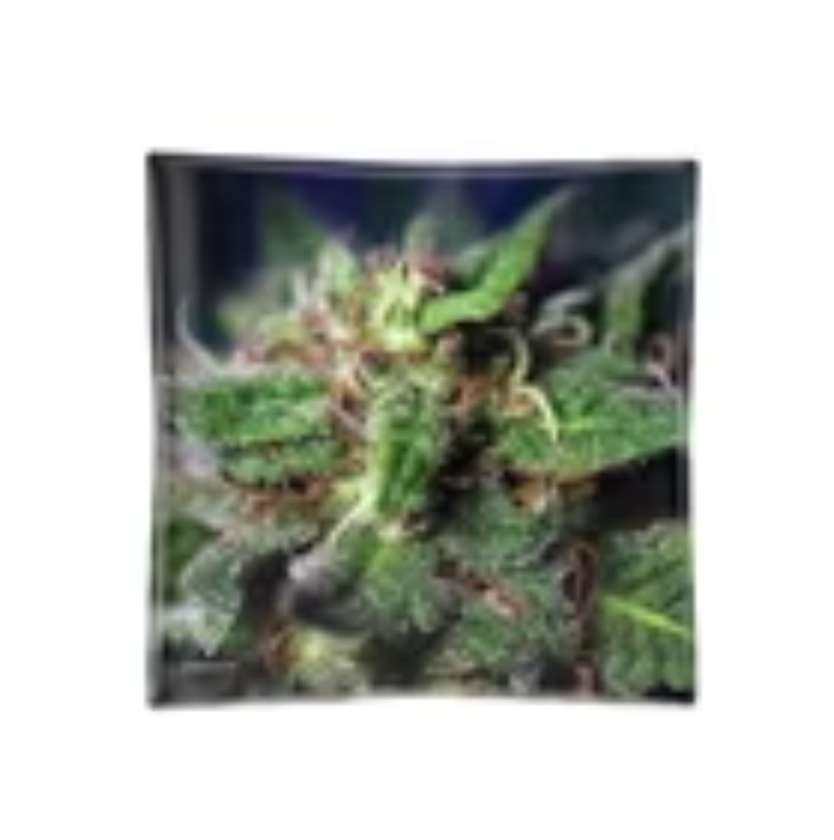 Cinzeiro de Vidro - Purple Haze