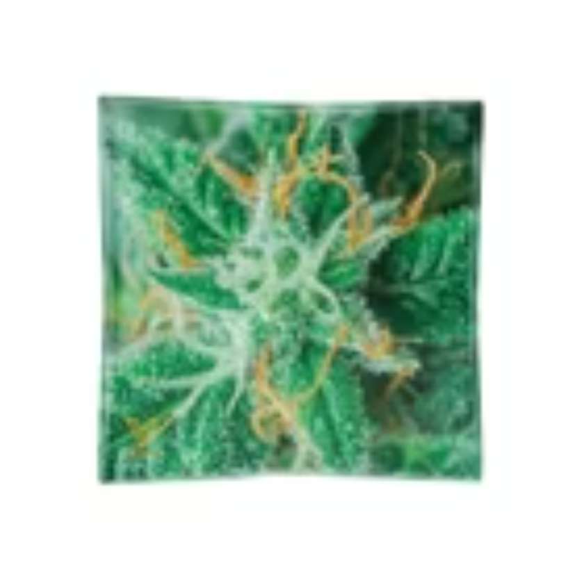 Cinzeiro de Vidro - Flor Cannabis