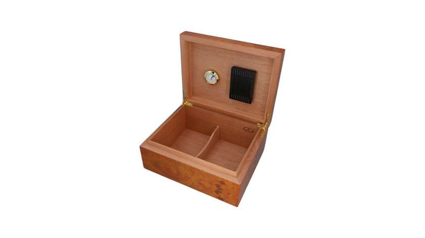 Cedar Humidor Amber Burl 50 22X28X11.5 Cm