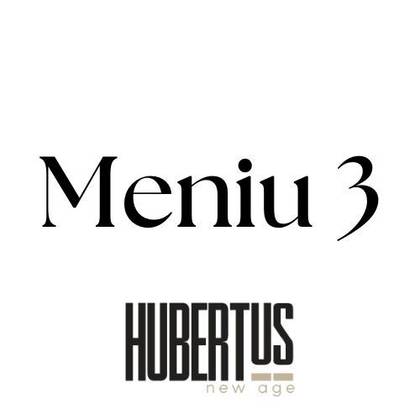 Meniu 3: Burger de Vânat cu Cartofi Prăjiți cu Parmezan și Usturoi + Texturi de Ciocolată