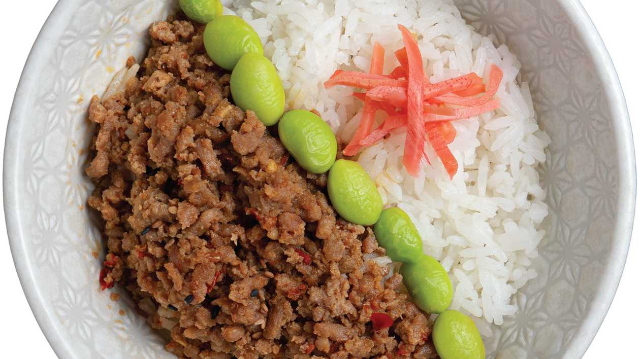 Large TanTan Don