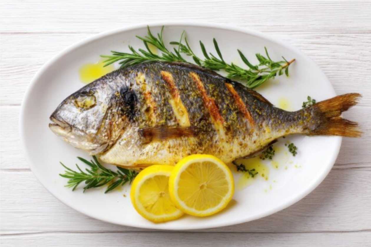 Grilled Sea Bream