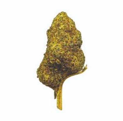 Flor PHC 30% Candy Kush 5g