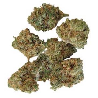 2 Baby Buds CBD para Interior 10g