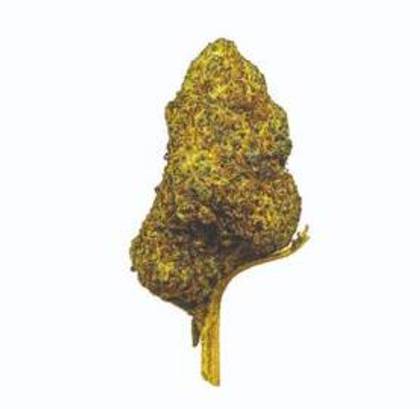 Flor PHC 30% Candy Kush 2g