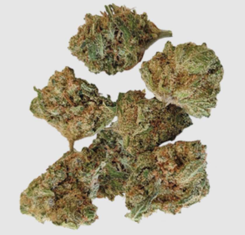 Baby Budds para uso no interior 10g