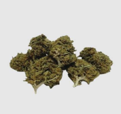 Baby Buds CBD 10g