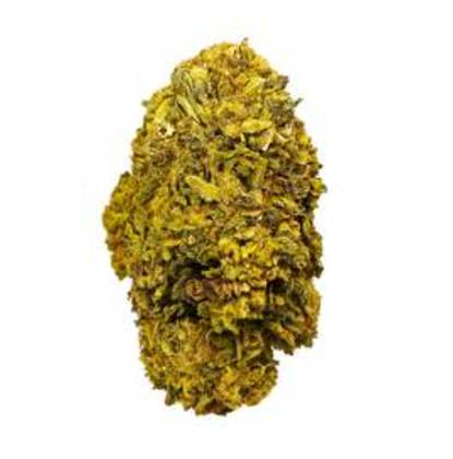 Flor BZ 30% Orange Bud 2g
