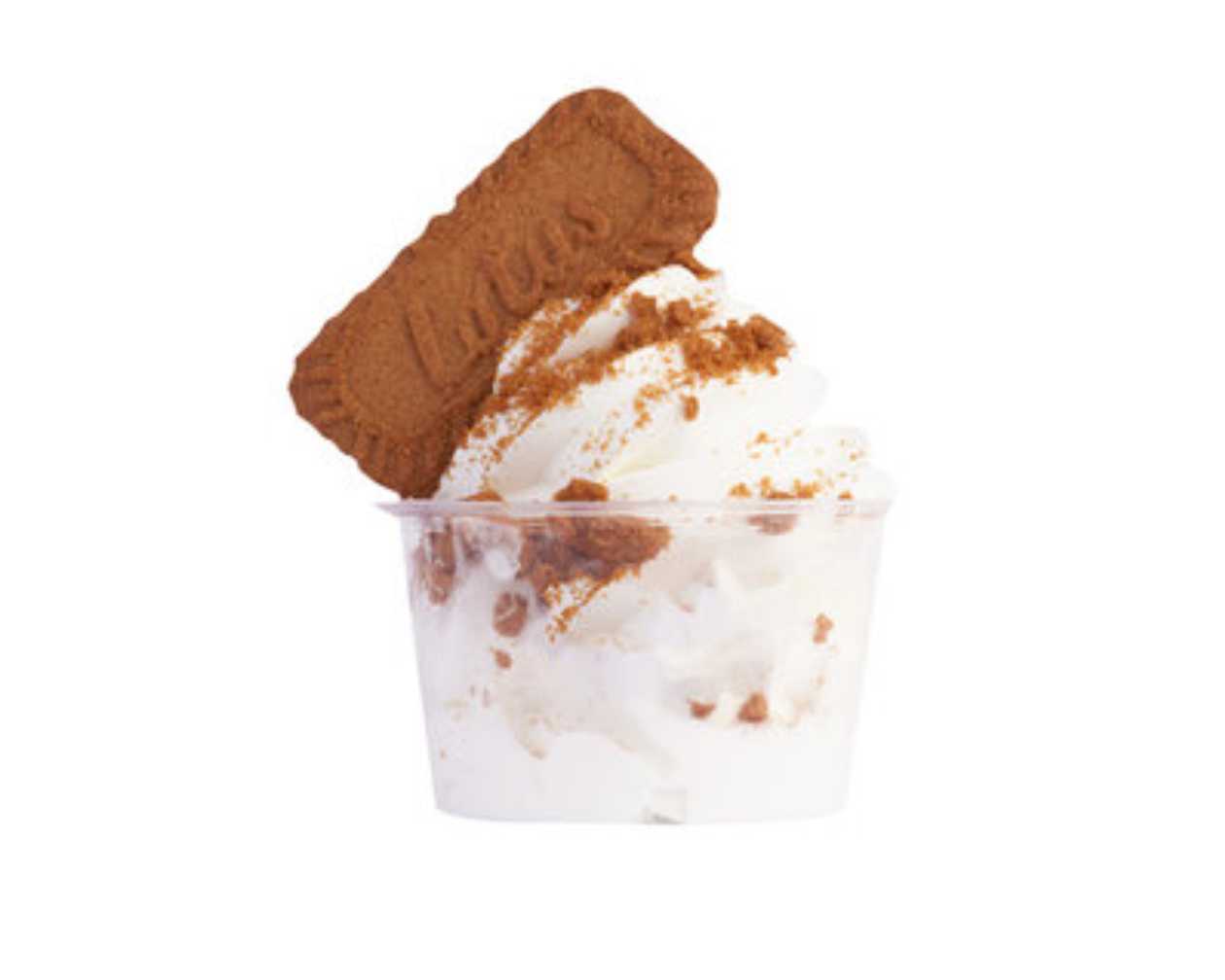 Homemade Lotus Ice Cream