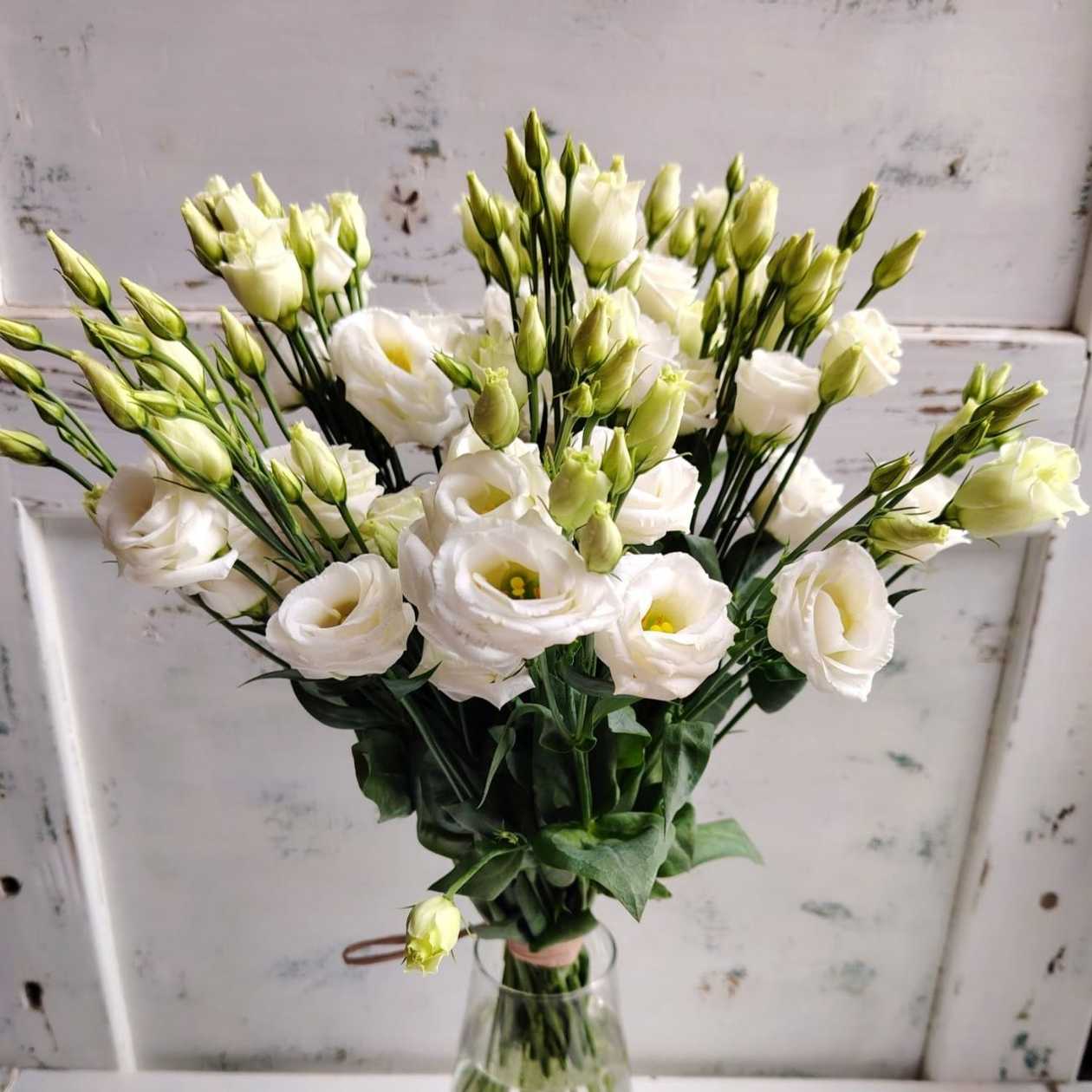 Kytica biely lisianthus S - 3 ks