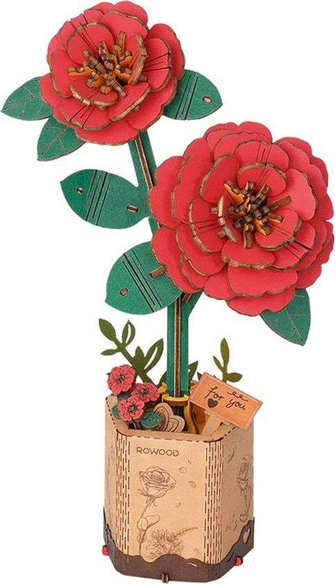 Red Camellia
