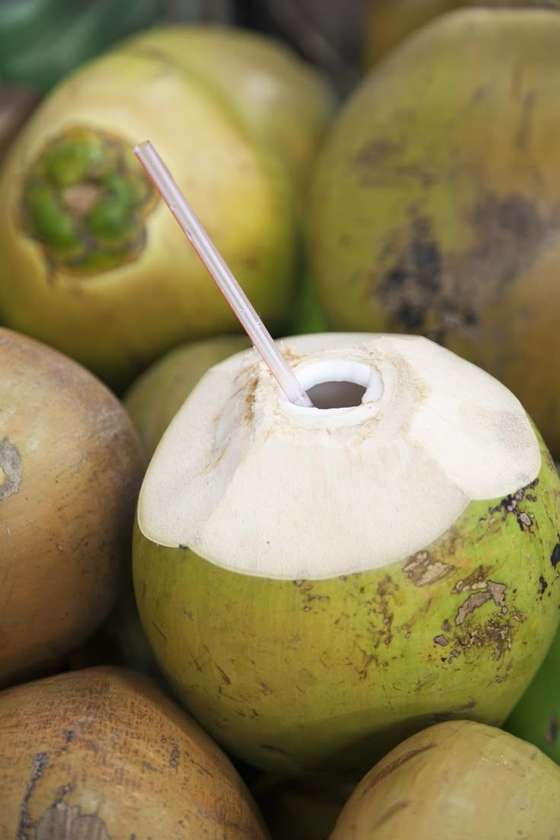 COCONUT WATER 🏝