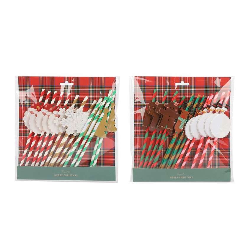 Christmas Series Straw Set (15 Pcs) (2 Assorted Models)