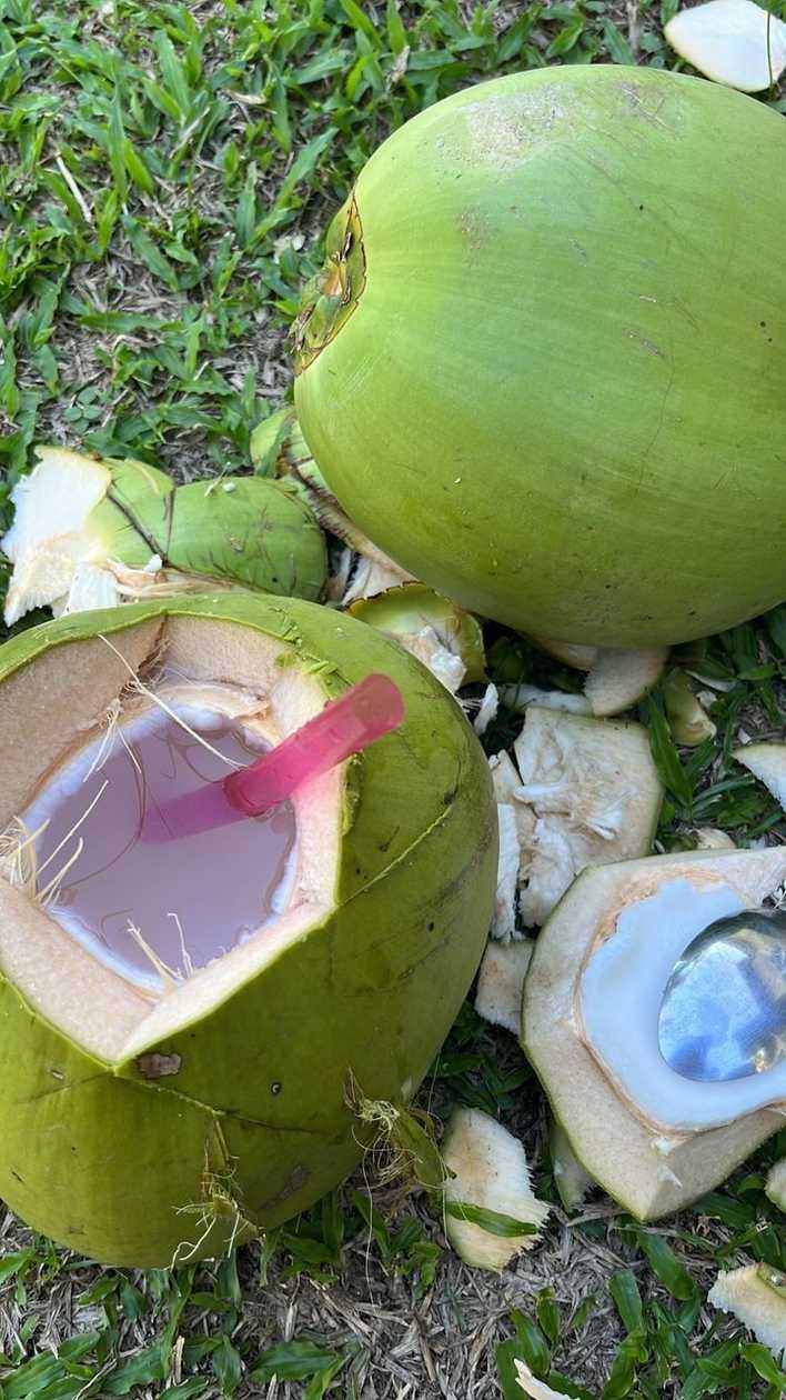 COCONUT WATER 🏝