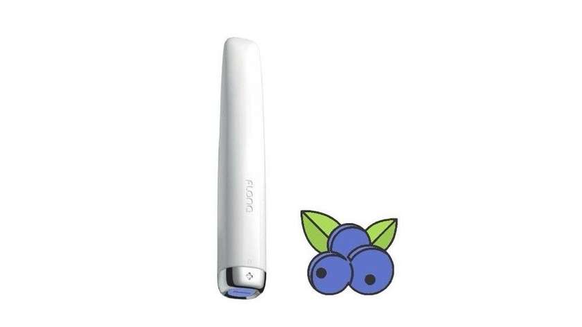 Flonq Plus Blueberry 600 Puffs