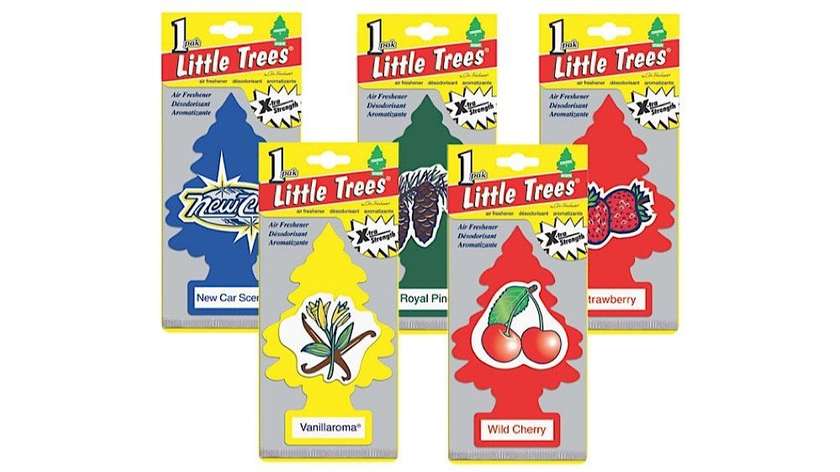 Little Trees True North
