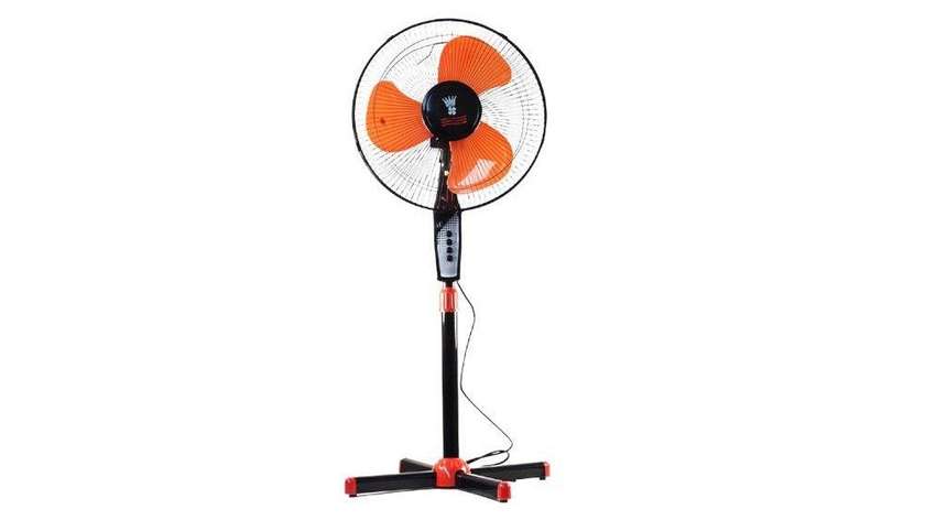 Changli Crown Fan