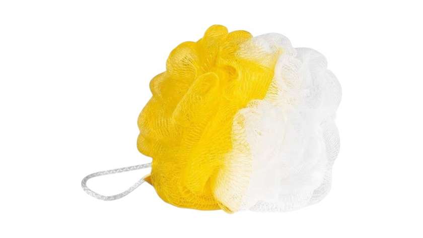 Body Sponge