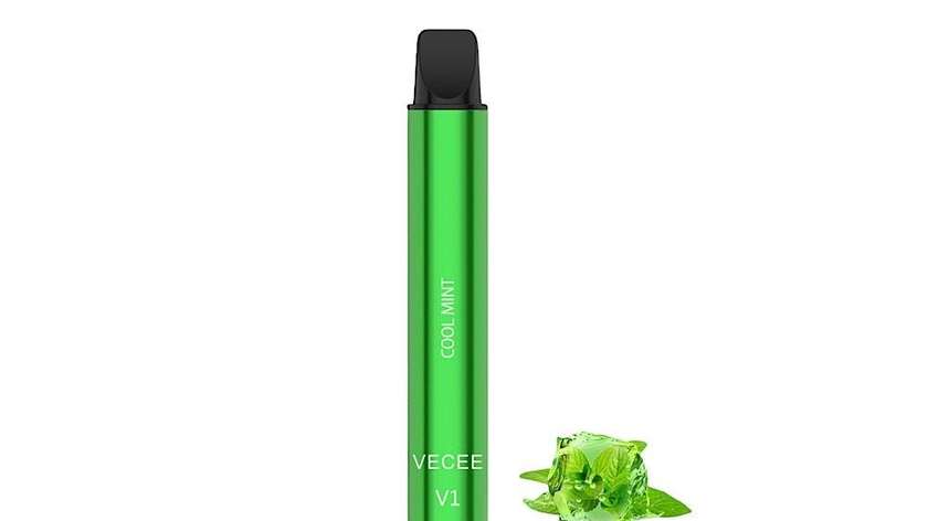 Vecee Cool Mint 600 Puffs