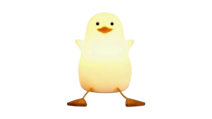 Cute and Fun Night Light