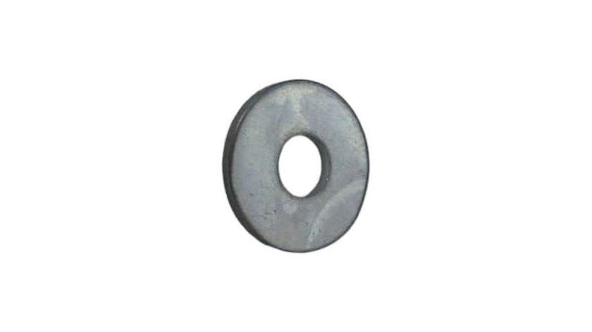 Shaiba M-6 (500g)