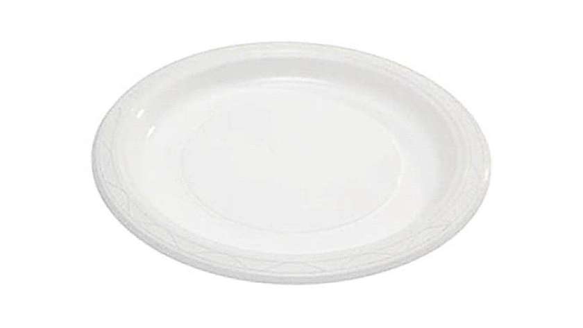 Disposable Plate (1 pc)