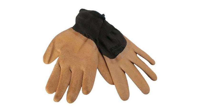 Glove