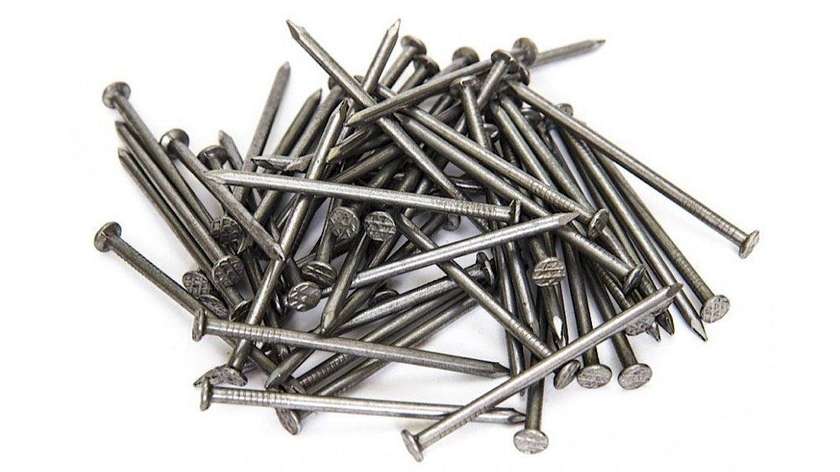 Nail 100mm