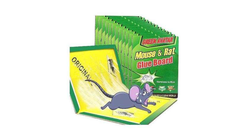 Mouse & Rat Glue Board