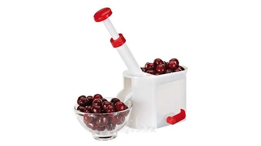 Cherry and Olive Corer