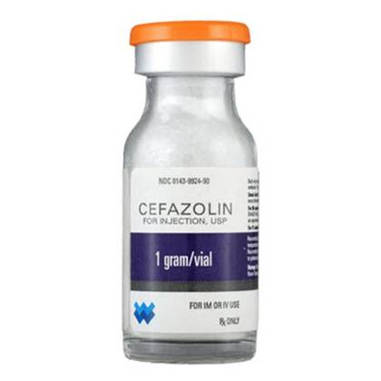 Cefazolin Powder for Injection Solution Preparation 1000mg Vial /Borsch/ #1