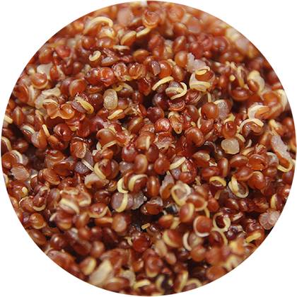 Quinoa