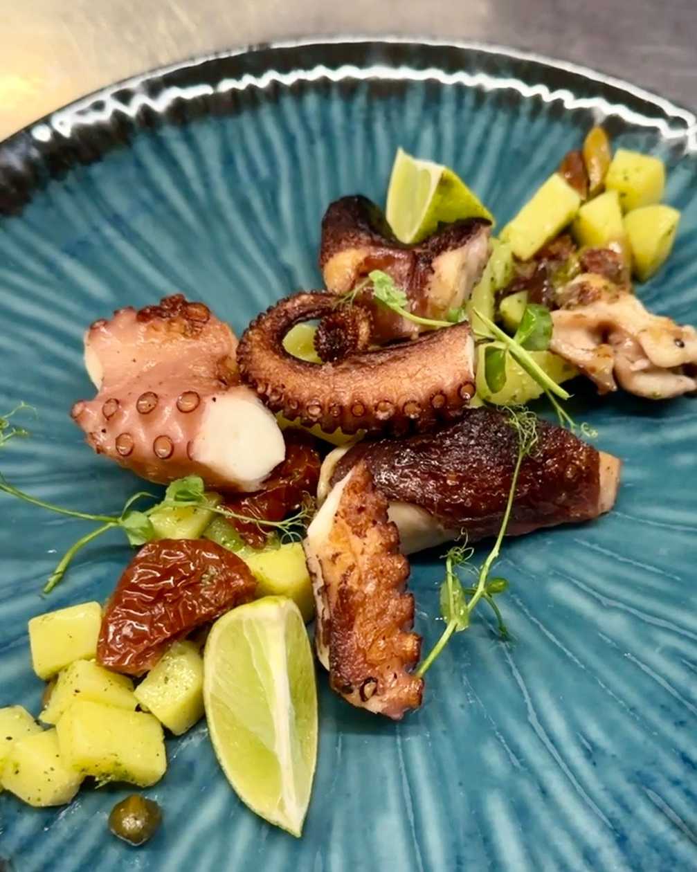 Grilled octopus