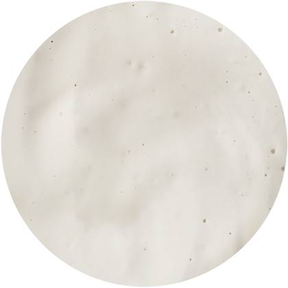 Creamy mushroom sauce